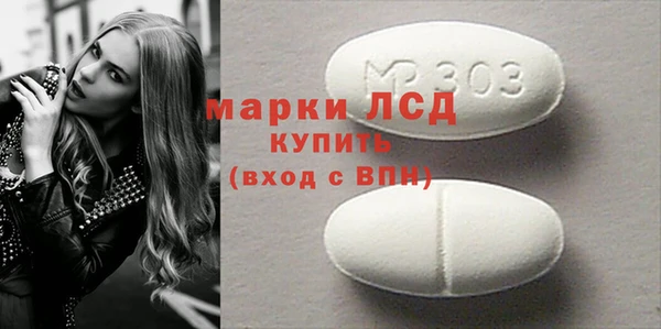 прущие грибы Новокубанск