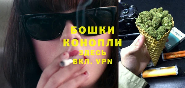 прущие грибы Новокубанск