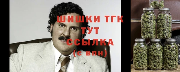 амф Новодвинск