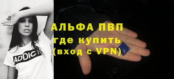 прущие грибы Новокубанск