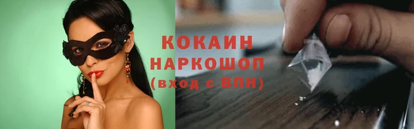 шишки Новозыбков