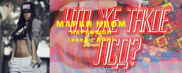 шишки Новозыбков