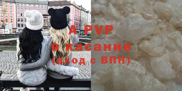 прущие грибы Новокубанск