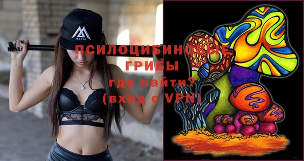 ешки Гатчина