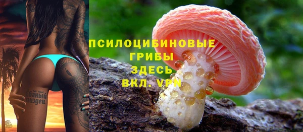 прущие грибы Новокубанск