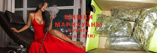 шишки Новозыбков