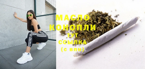 шишки Новозыбков