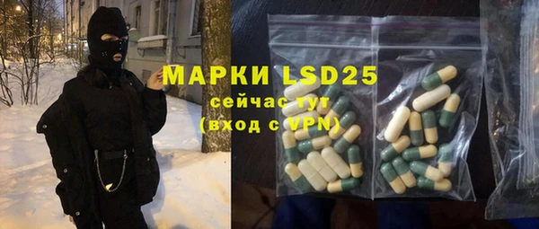 шишки Новозыбков