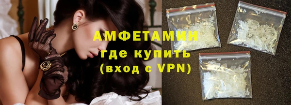 прущие грибы Новокубанск