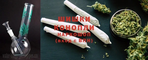 прущие грибы Новокубанск