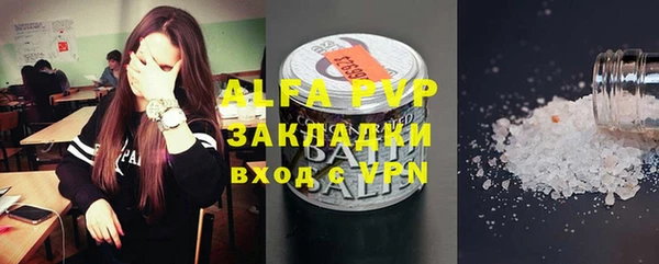 шишки Новозыбков