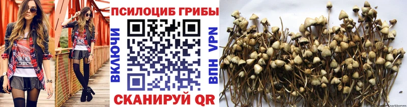 Псилоцибиновые грибы мухоморы Онега