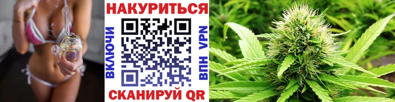 Конопля MAZAR  Онега 